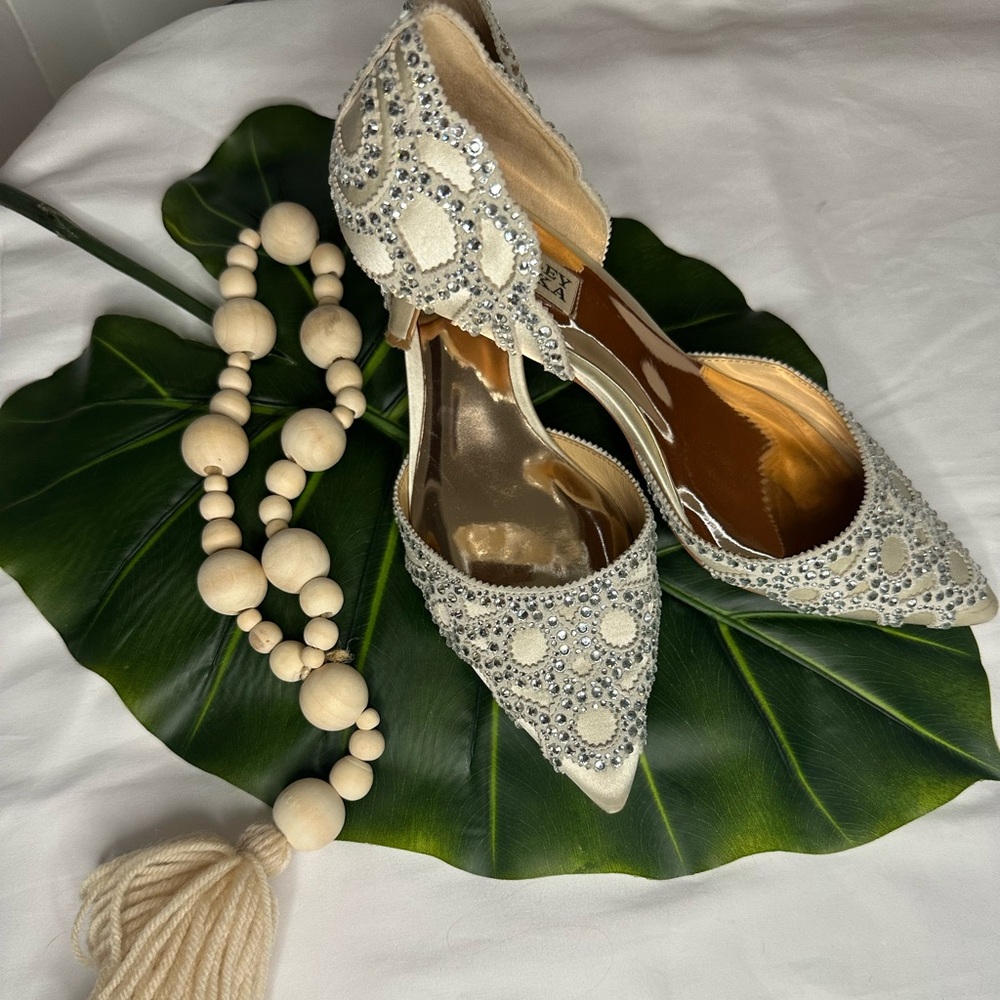 Badgley Mischka Ginny Pointed Toe D’Orsay Evening Shoe